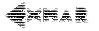 Exmar srl